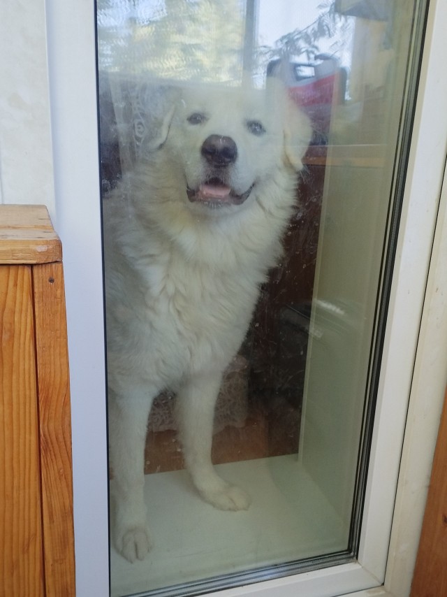 А у Даны д.р. Ей 10 лет!