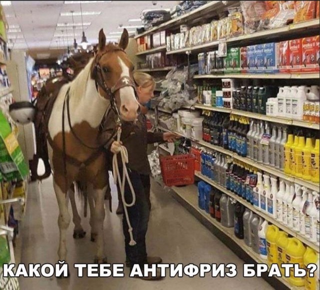 Так себе картинки 22.10.24