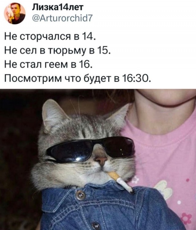 Весёлый полтишок 25.12.24