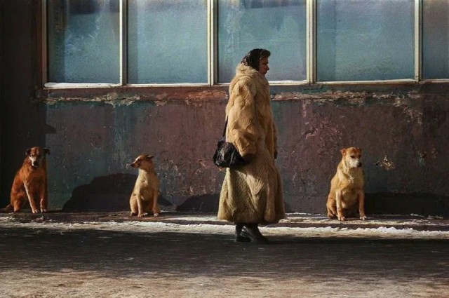 Альтернативная история в фотографиях - 3