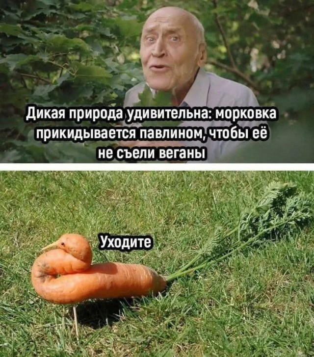 Завалялось тут случайно немного забавных картинок