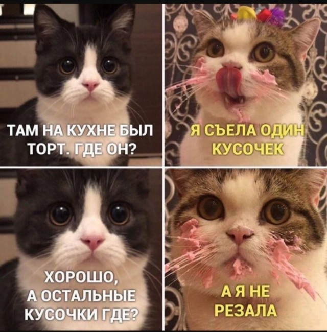 Интернет мемы на утро субботы