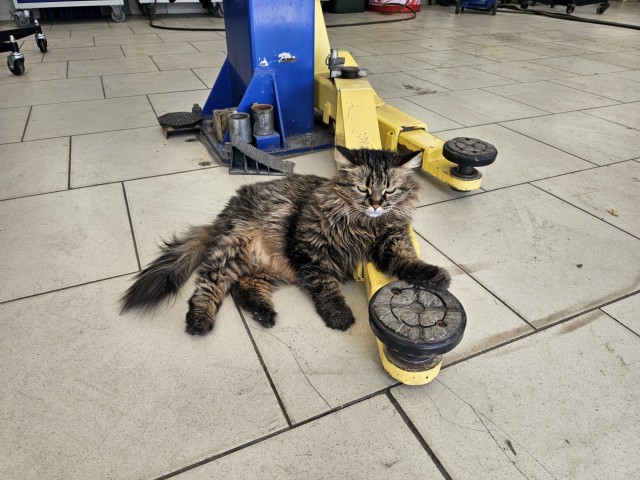 Работник автосервиса