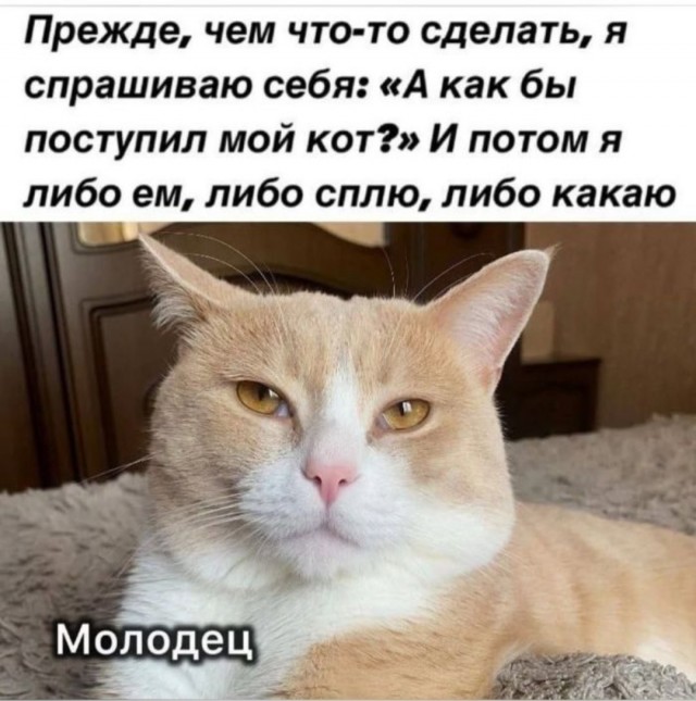 Юмор за день