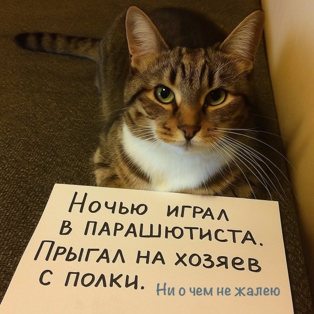 Завалялось тут случайно немного забавных картинок