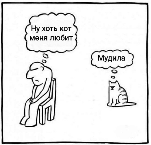 О братьях наших меньших