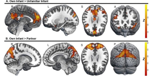 Папа может!