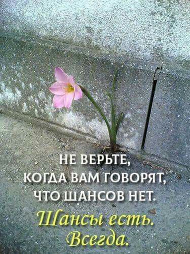Прикольные и просо красивые картинки 05.09.2025