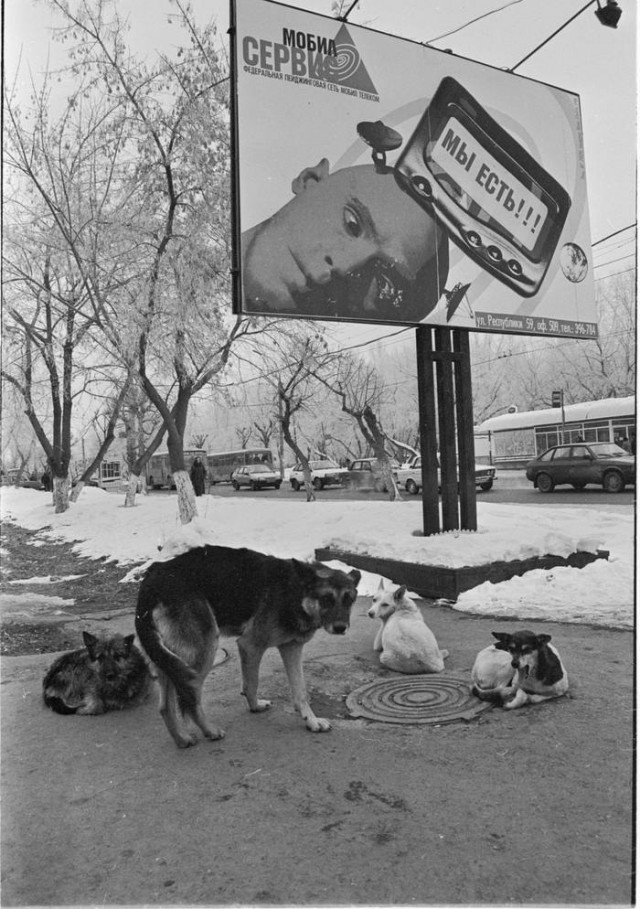 Интересные фотографии 1990 -х 09.09.25
