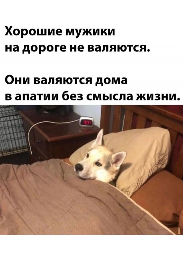 Картинки для деградации 44 (разной степени свежести)