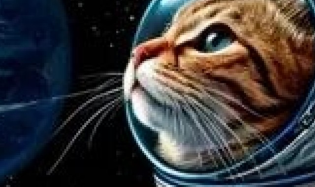 День Космических войск!