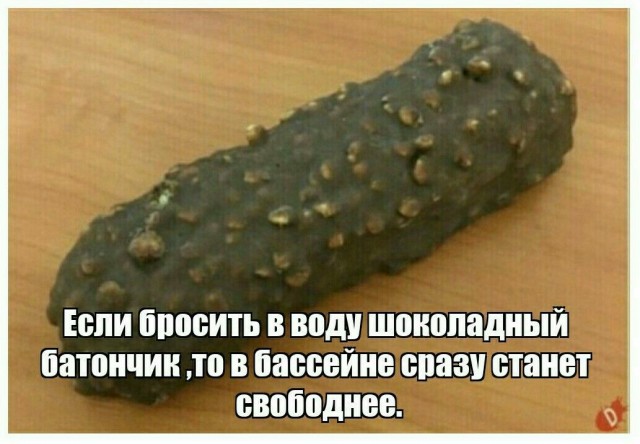 Понеслась...