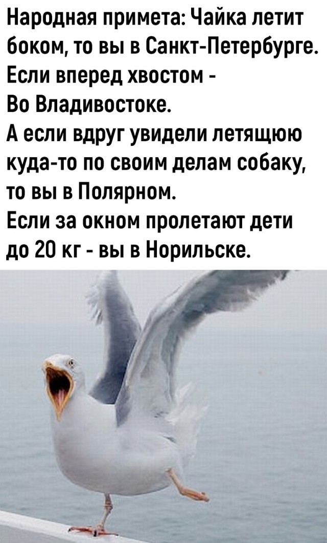 Так себе картинки 04.11.25