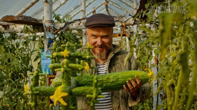 Купол над участком