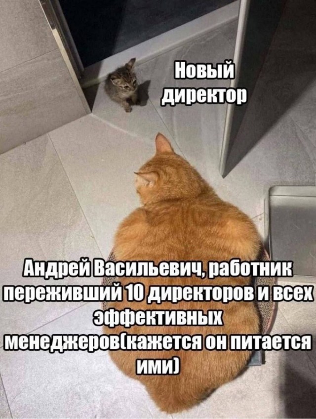 Воскресные картинки