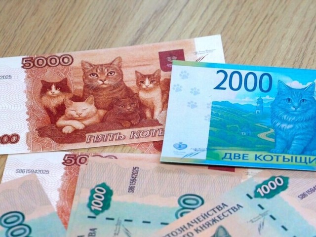 Кототыщи страны Дайлапия