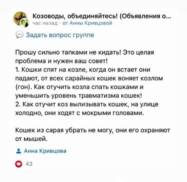 Картиночки, баянчики 19 февраля