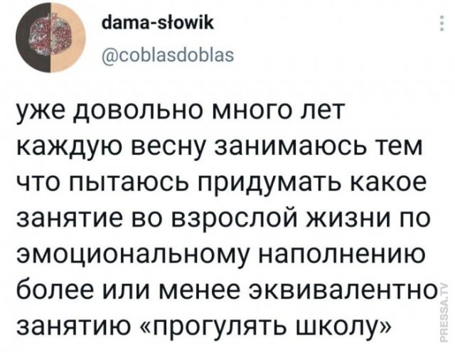 Веселые картинки в понедельник (который вторник) (10.03)