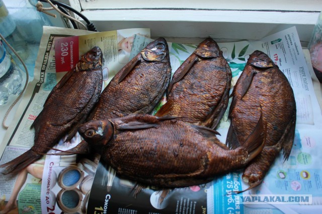 Всех с пятницей.