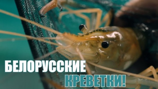 В одном шаге от ... (кадры землетрясения в Колумбии)