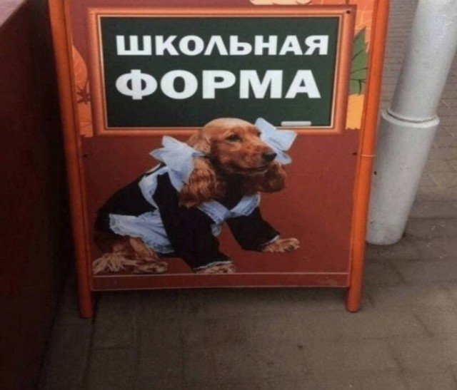 Магнетическая херабора к 1 сентября