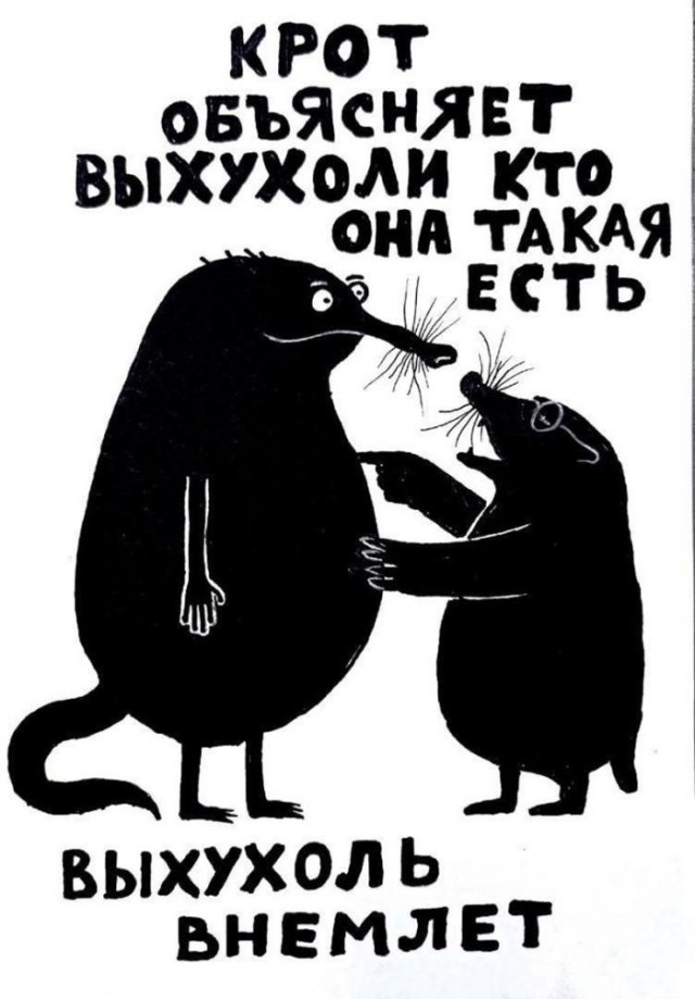 Картинки для деградации 306 (разной степени свежести)