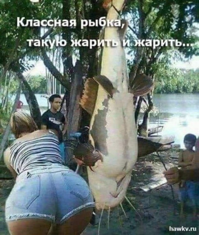 Забавные и не очень скромные картинки-40