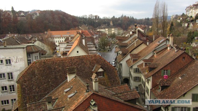 В поисках музея ПрофессораПлейшнера