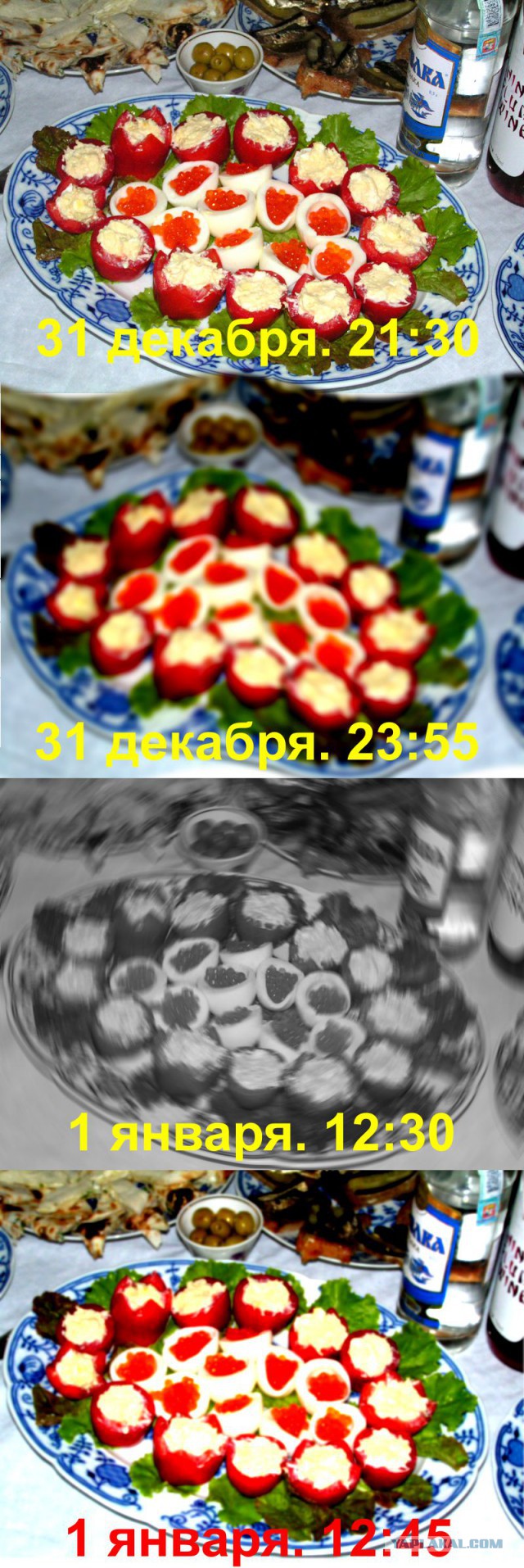 Новогоднее застолье. Взгляд с дивана