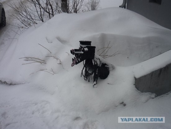 Креативная пёсомусорка