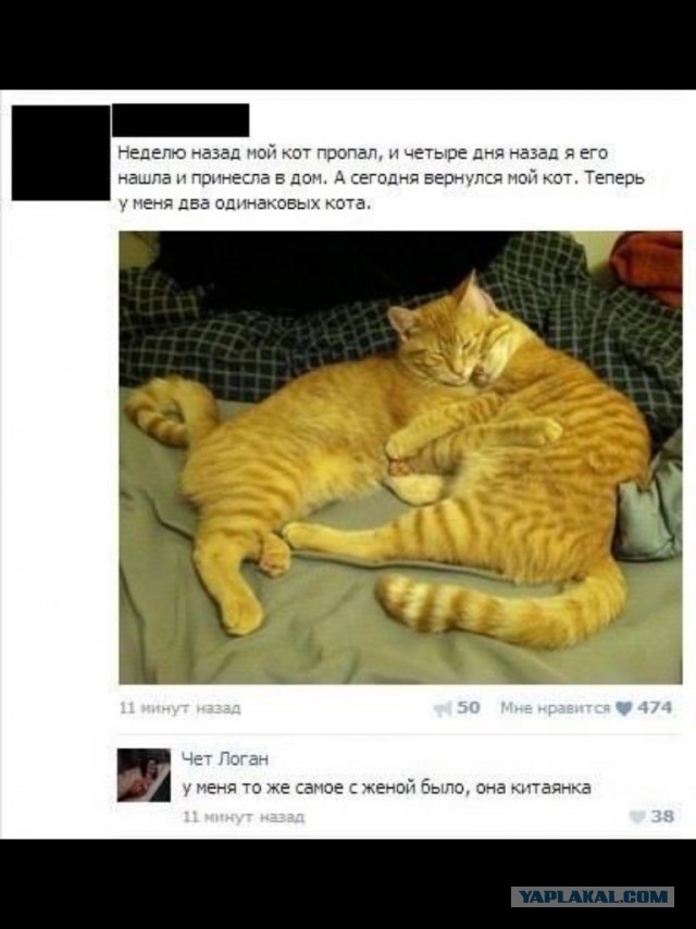 Смешные комментарии из социальных сетей