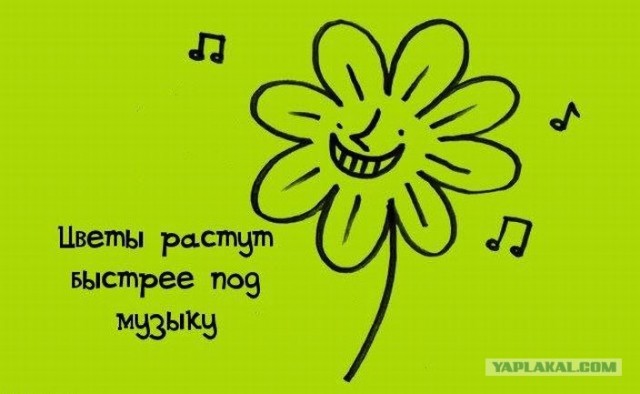 Забавные минифакты в картинках