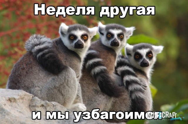 Чай. Узбагоительный.