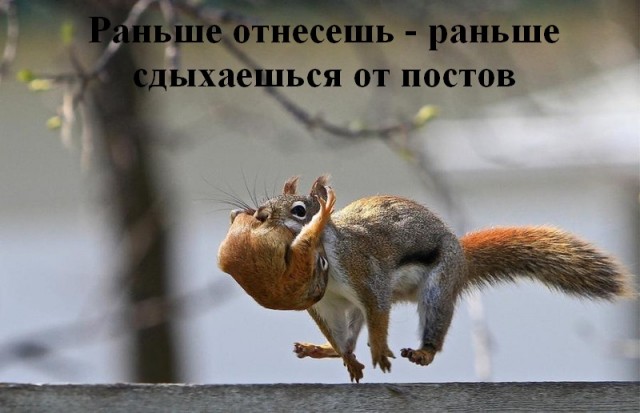 Кто рано встает