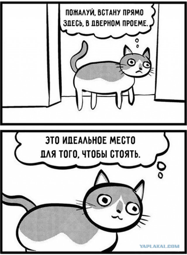 Котокомиксы