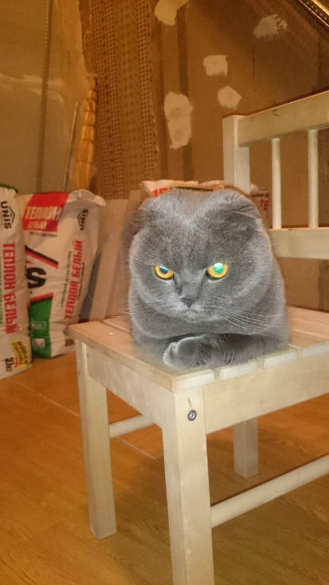 Обнесли хату