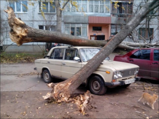 Дерьмо случается