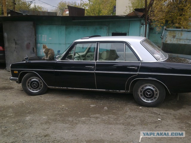 Билет в бизнес-класс 70-х: тест-драйв Mercedes-Benz W115