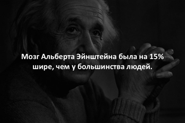 44 интересных факта в картинках. Продолжение