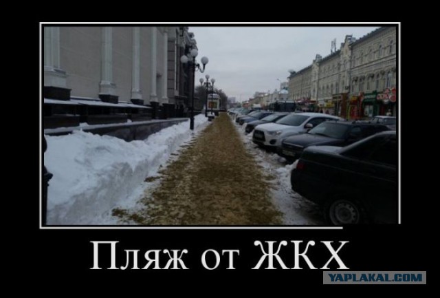 Пятничная подборка картинок