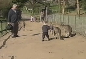 Бух.