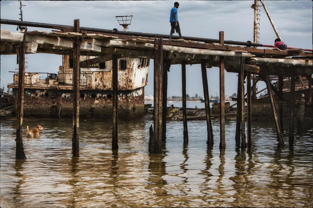Почем в море рыба. Часть 2.