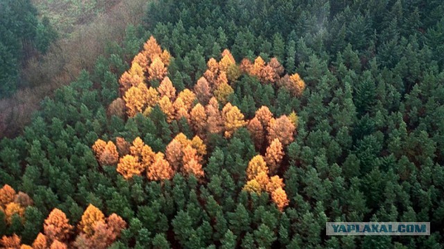 Катя, ты выйдешь за меня?