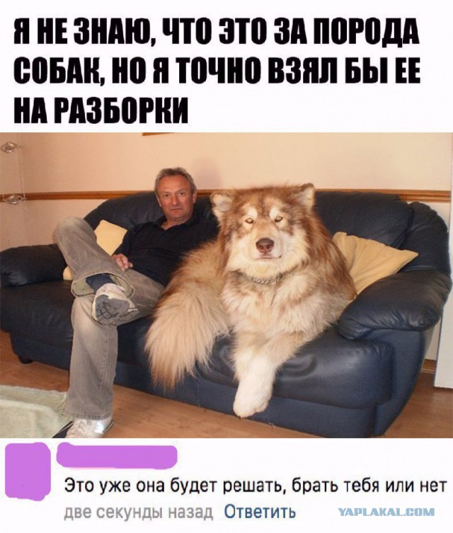 Чернушки тут малёхо завалялось...