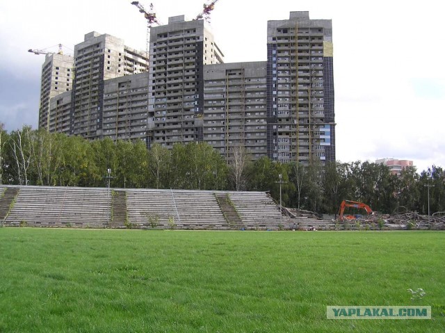 Беседка ФиС ЯПа 2