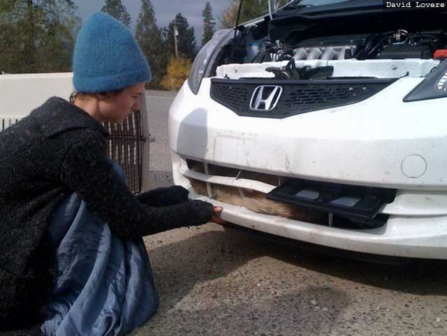 Загляни под машину-2 (6 фото)