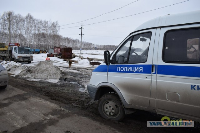 Пропал в весеннем лесу