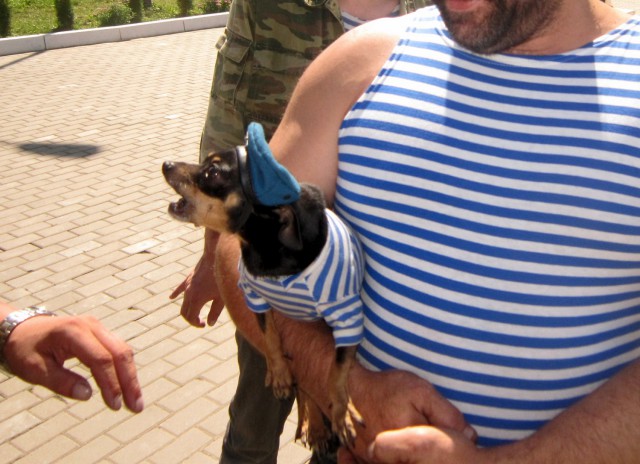 Скоро день ВДВ