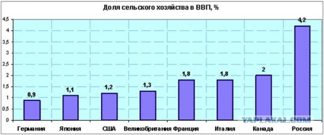 “Святые” девяностые: проклятые времена