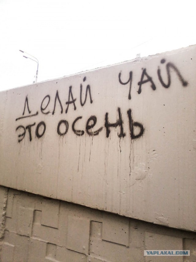 «Бродячие» философы: 17 глубокомысленных заметок в транспорте и на улицах